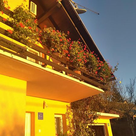 House Jelena&Marija Daire Rakovica Dış mekan fotoğraf