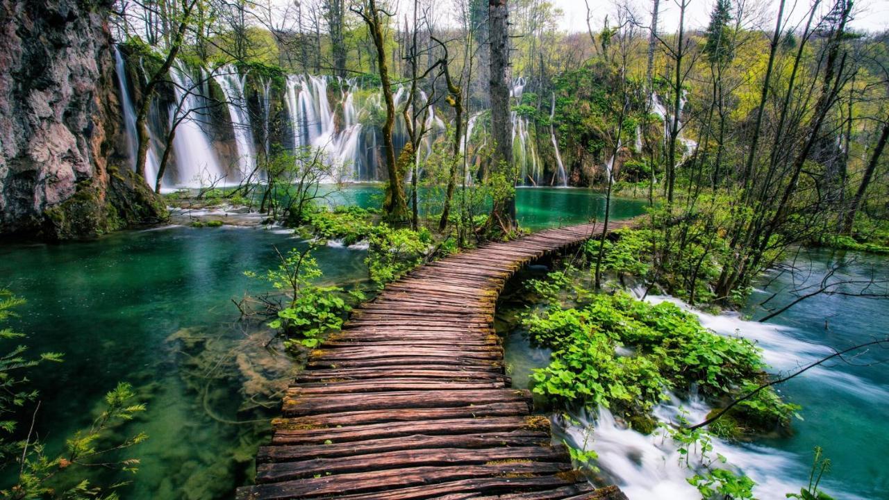 House Jelena&Marija Daire Rakovica Dış mekan fotoğraf
