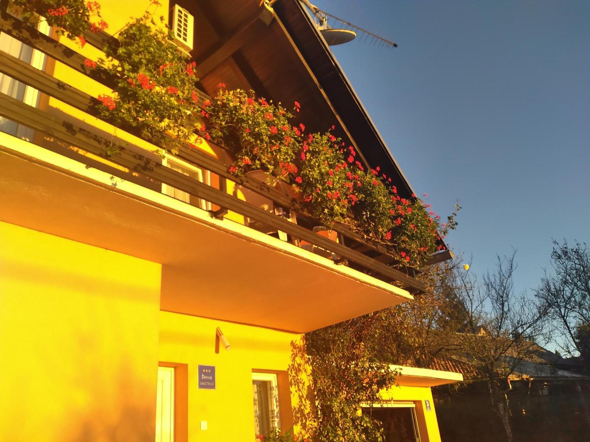 House Jelena&Marija Daire Rakovica Dış mekan fotoğraf